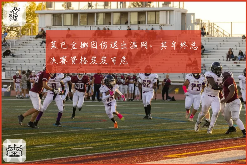 莱巴金娜因伤退出温网，其年终总决赛资格岌岌可危